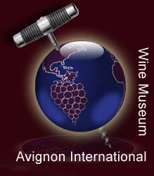 avignon wine tour