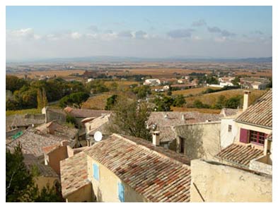 avignon wine tour