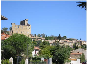 avignon wine tour